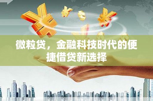 新沂微粒贷，金融科技时代的便捷借贷新选择