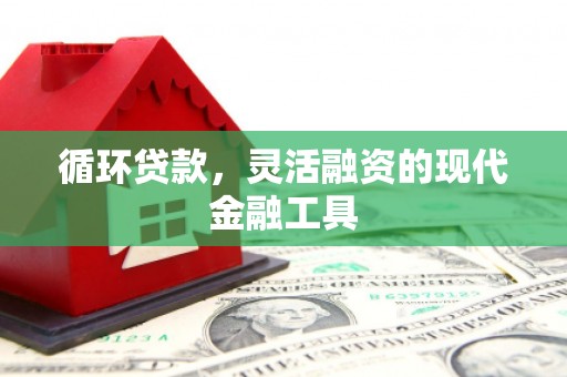 德令哈循环贷款，灵活融资的现代金融工具