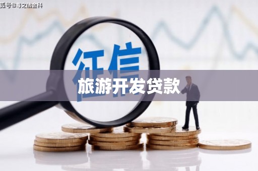 新邱旅游开发贷款