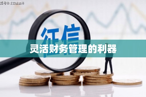 大东灵活财务管理的利器