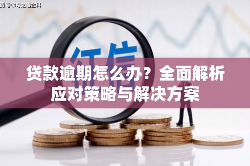 雅江贷款逾期怎么办？全面解析应对策略与解决方案
