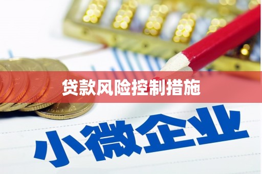 张家川贷款风险控制措施