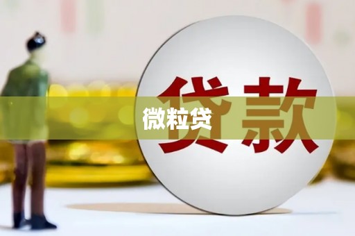 碌曲微粒贷