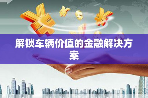 陆丰解锁车辆价值的金融解决方案
