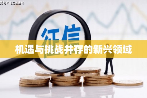 埔心机遇与挑战并存的新兴领域