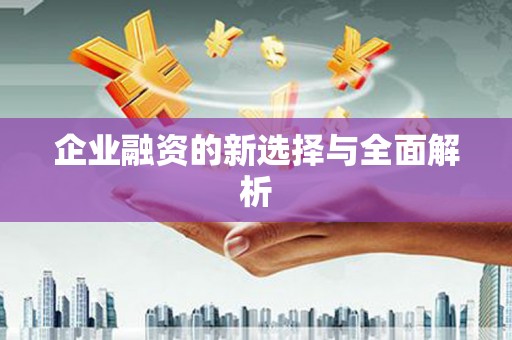 湟源企业融资的新选择与全面解析
