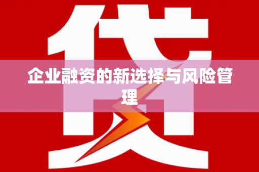孝南企业融资的新选择与风险管理